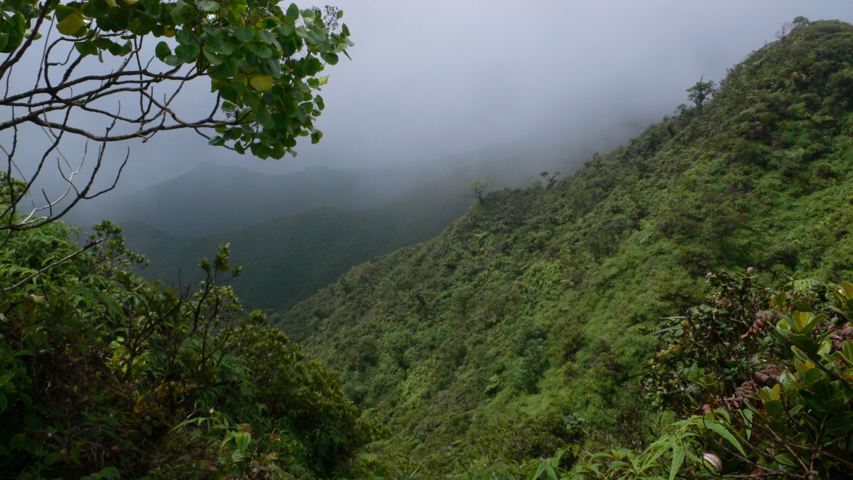 Ko’olau uka 10.9.2006