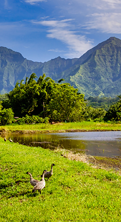 mountains-cropped