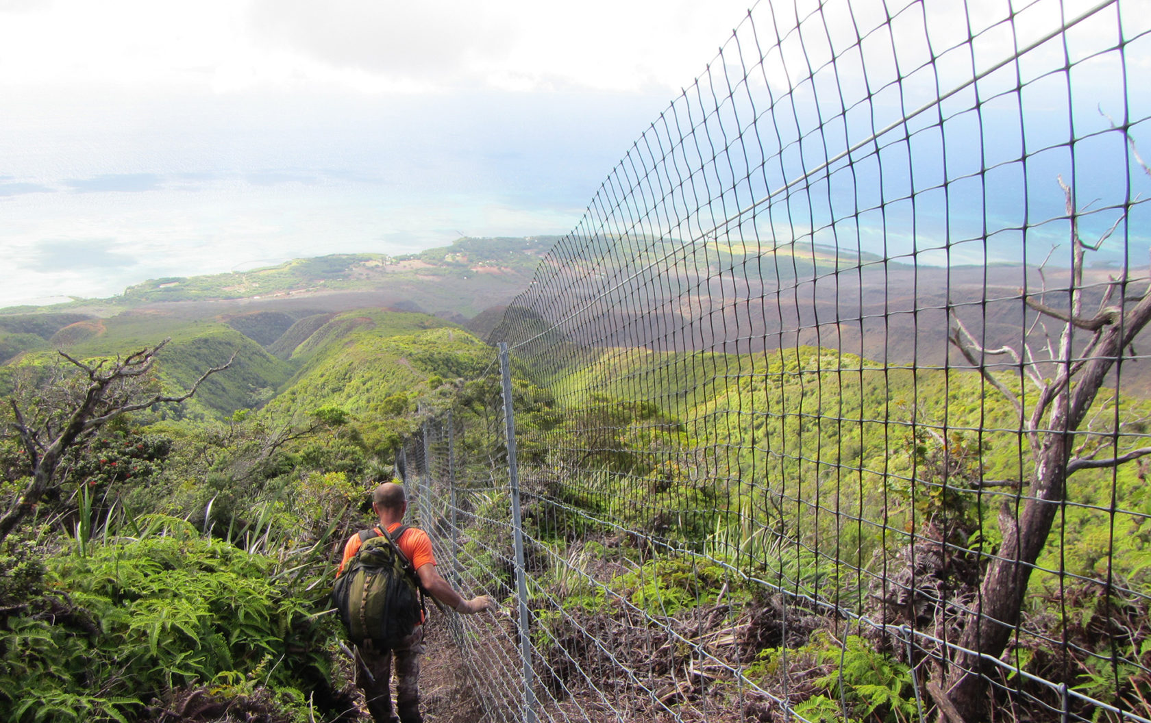 Fence construction