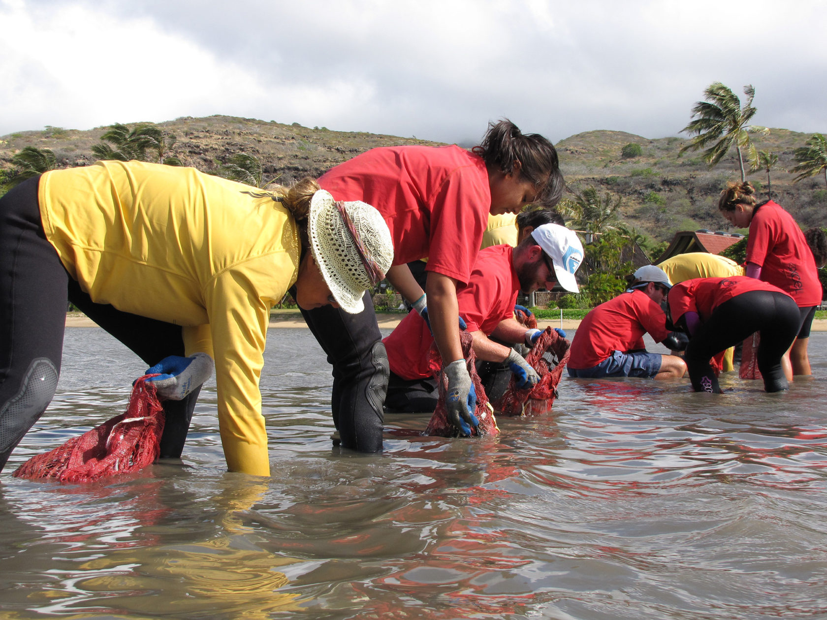 Invasive species eradication