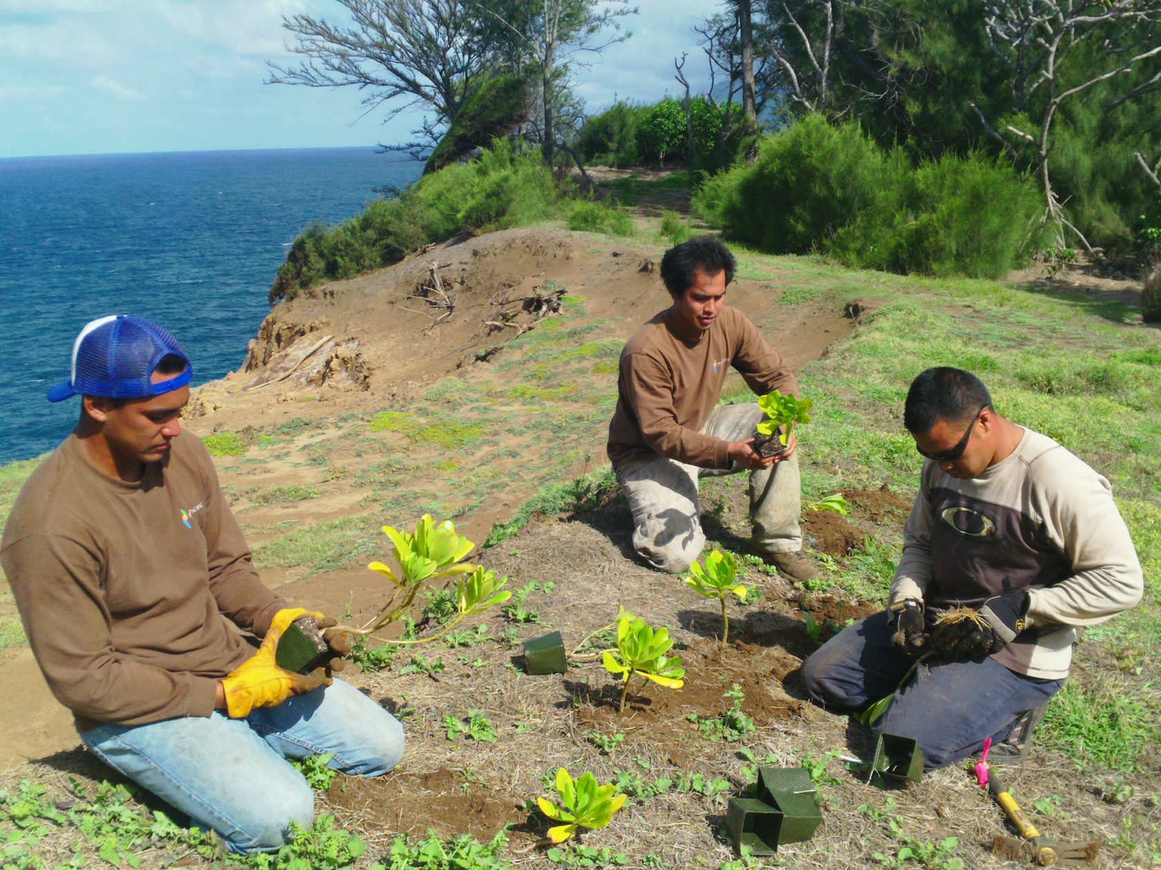 Land management